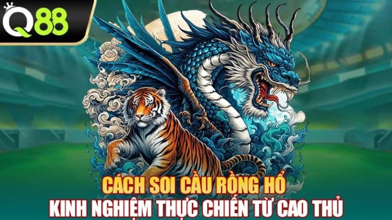 Q88 Cách soi cầu Rồng Hổ - Kinh nghiệm thực chiến từ cao thủ