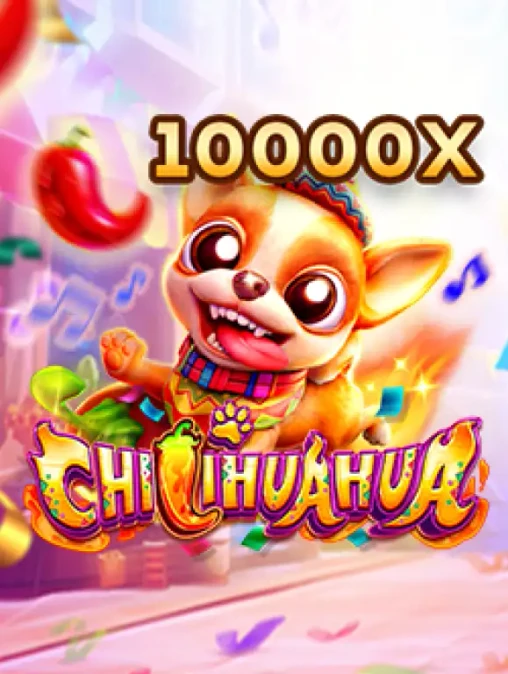 Q88 Chi Hua Hua