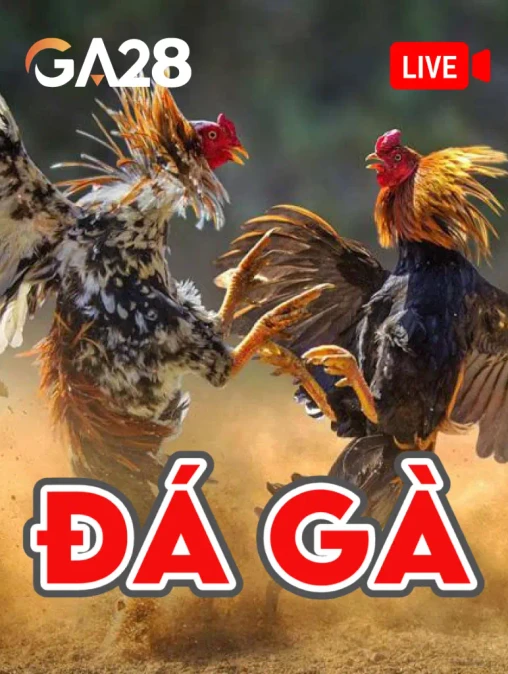 Q88 Đá Gà GA28