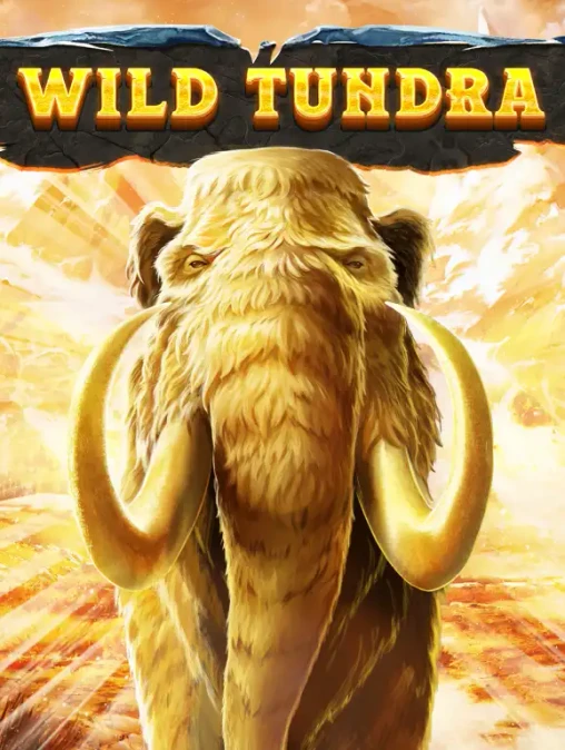 Q88 Wild Tundra