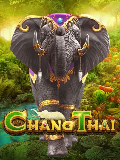 Q88 Chang Thai