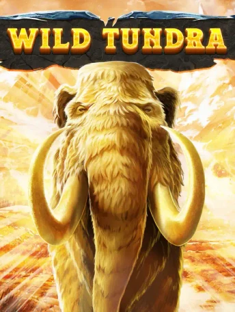 Q88 Wild Tundra